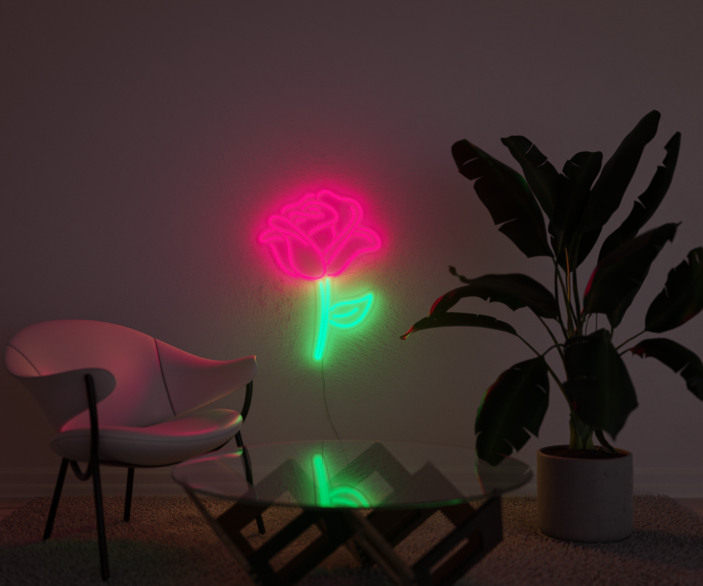 Classic Rose