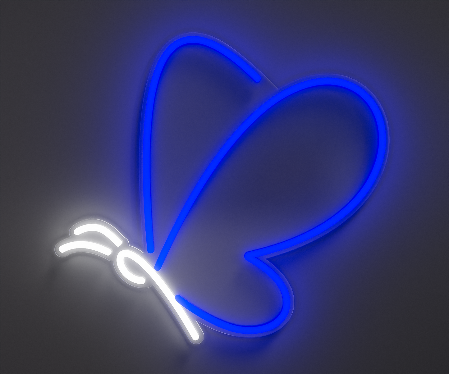 White and blue butterfly neon sign
