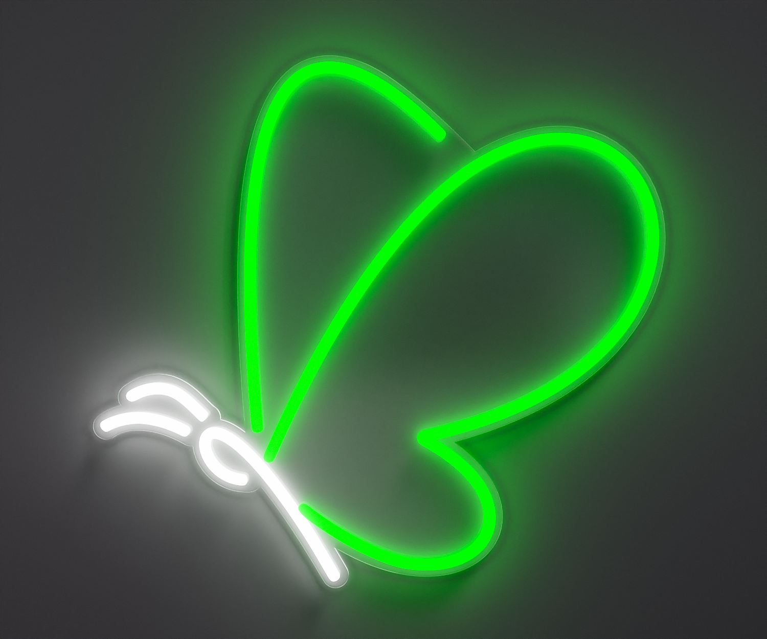 white and green butterfly neon sign
