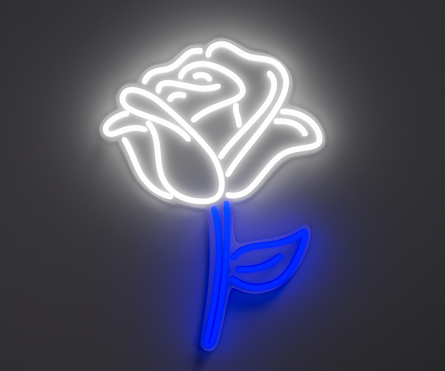 white and blue rose neon sign