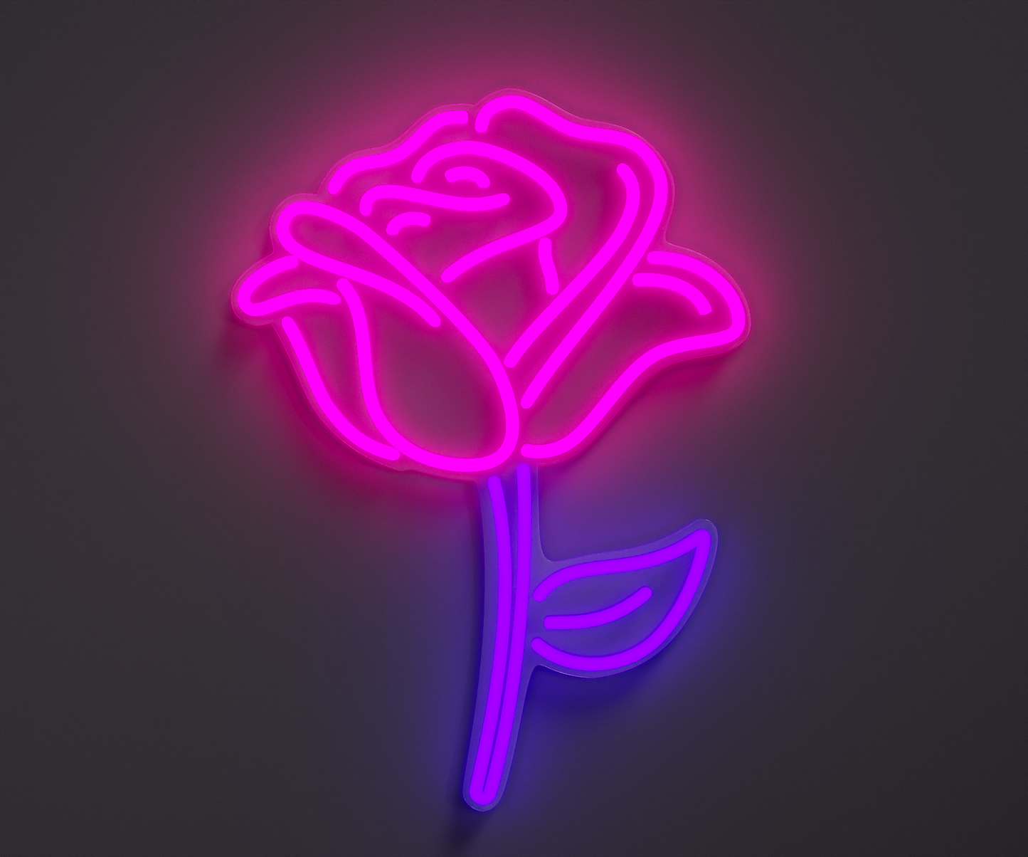 pink and purple rose neon sign