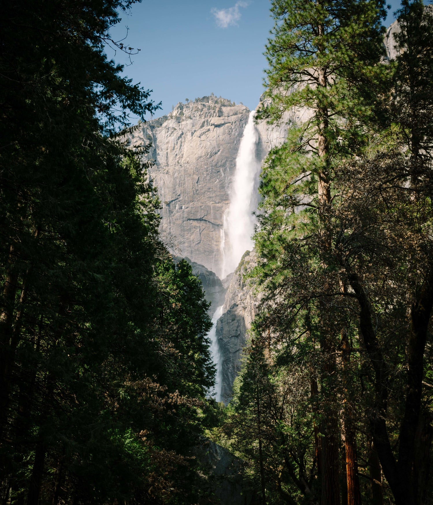 A waterfall visible through trees