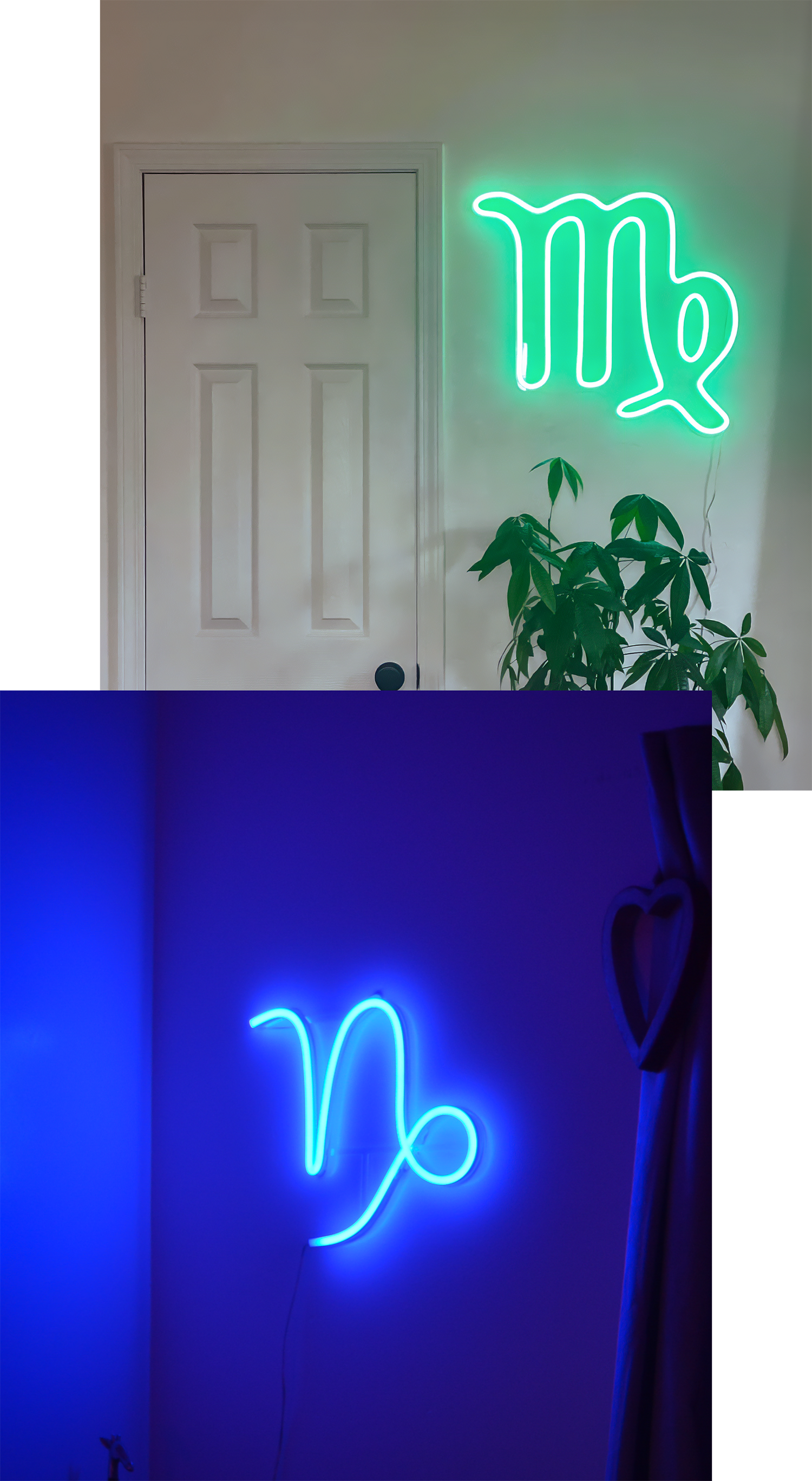 Zodiac neon signs