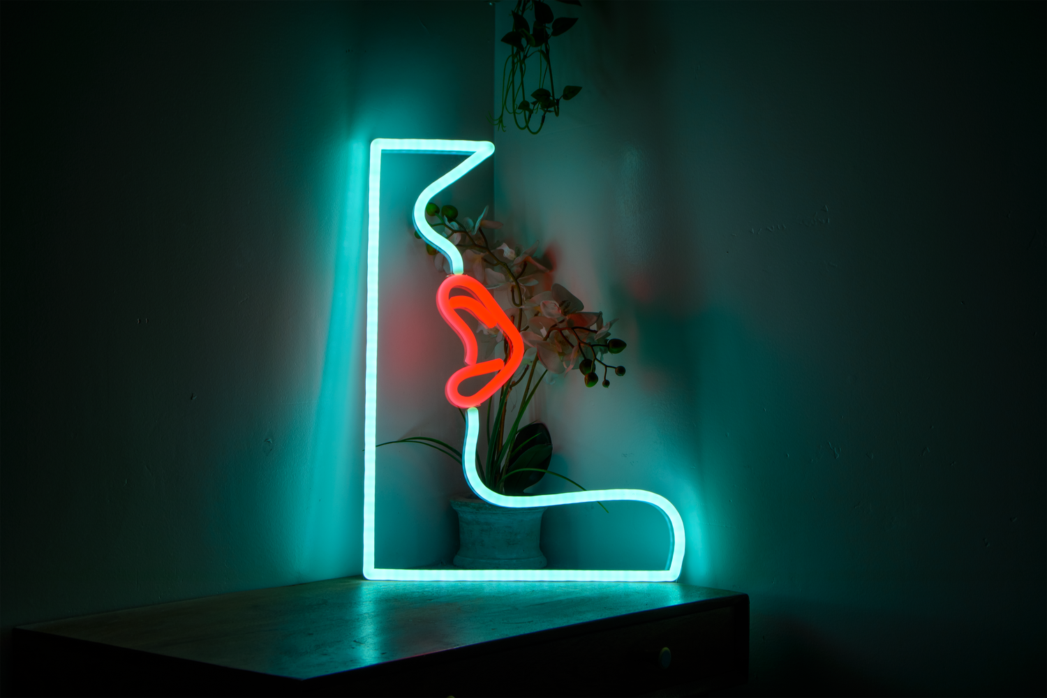 a woman's lips neon sign